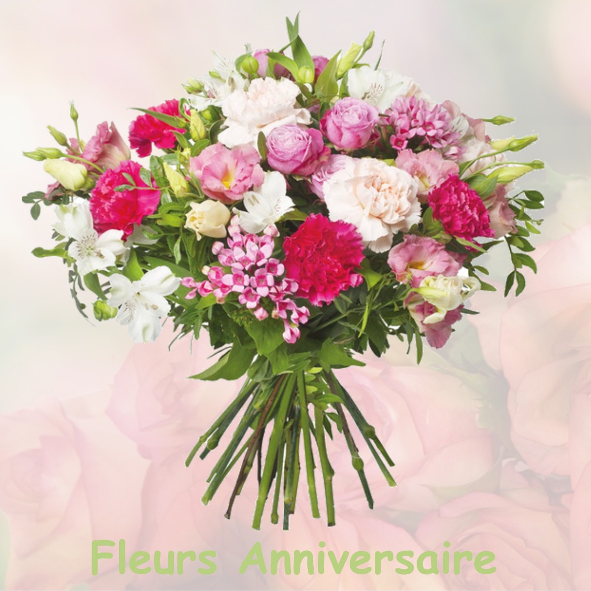 fleurs anniversaire VILLENEUVE-LES-GENETS